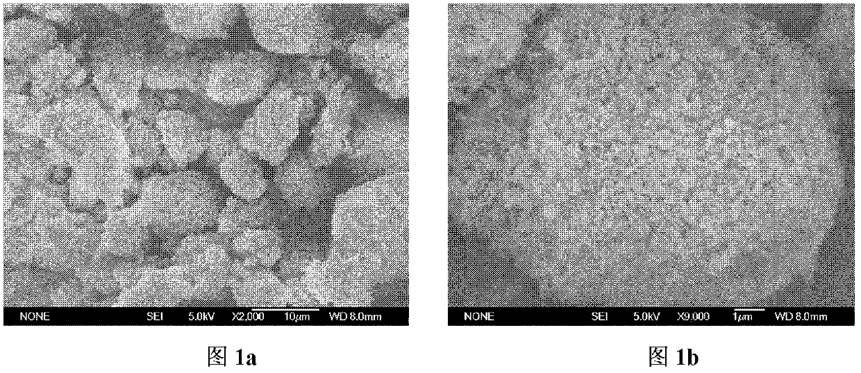 Preparation method and application of sulphonamide molecular-imprinting solid-phase extraction columella