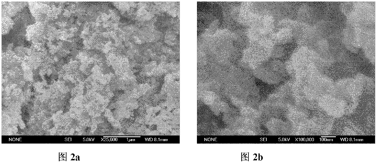 Preparation method and application of sulphonamide molecular-imprinting solid-phase extraction columella