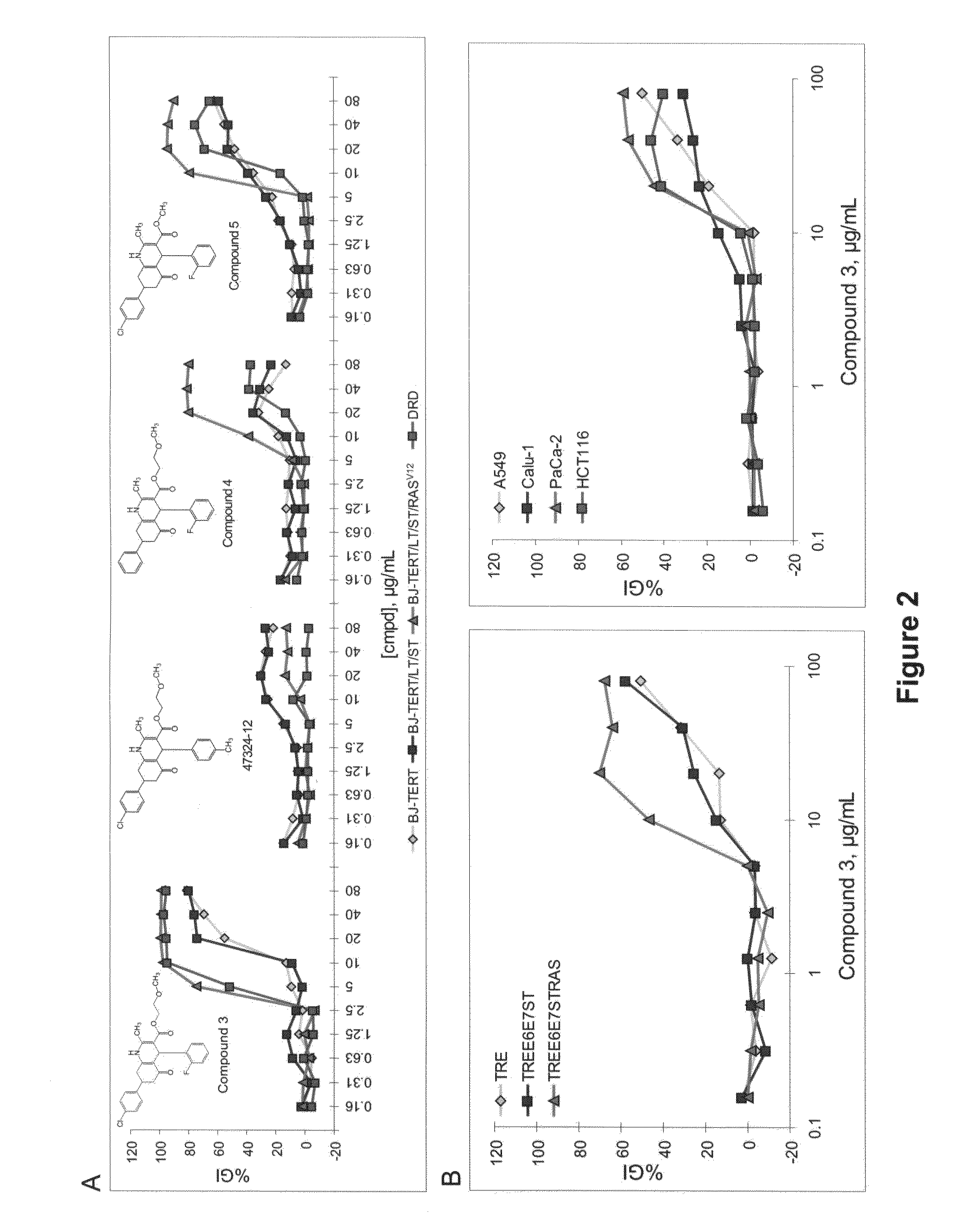 Oncogenic-RAS-signal dependent lethal compounds