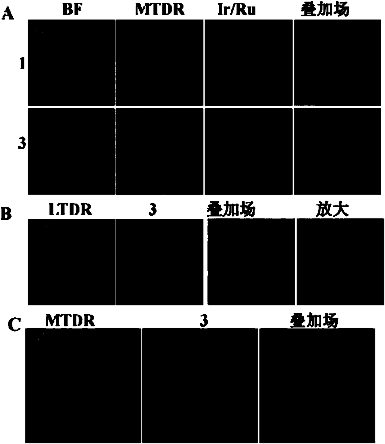 1,1,1-triphenyl-N-(1-(pyridine-2-methylene) methylamine containing complex as well as preparation method and application thereof