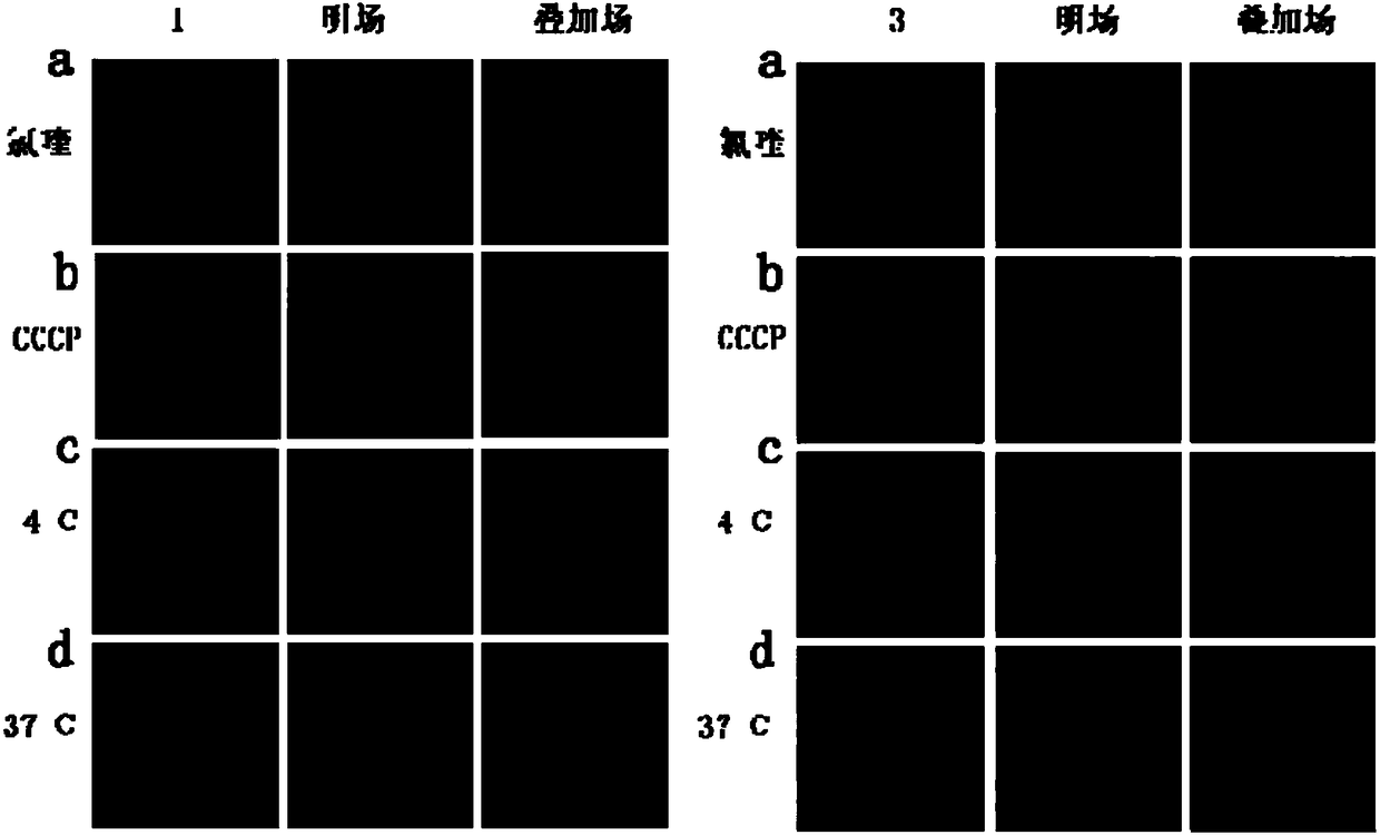 1,1,1-triphenyl-N-(1-(pyridine-2-methylene) methylamine containing complex as well as preparation method and application thereof