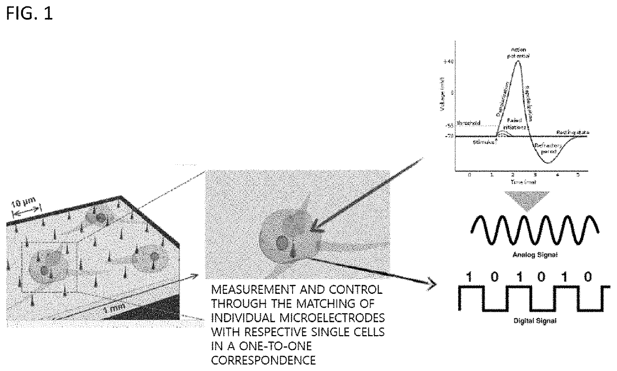 Neural signal feedback system and method using microelectrode array unit