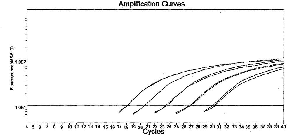 Method for fast and accurate quantitative determination of circulating DNA in blood