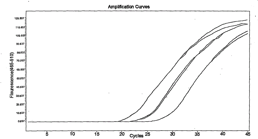 Method for fast and accurate quantitative determination of circulating DNA in blood