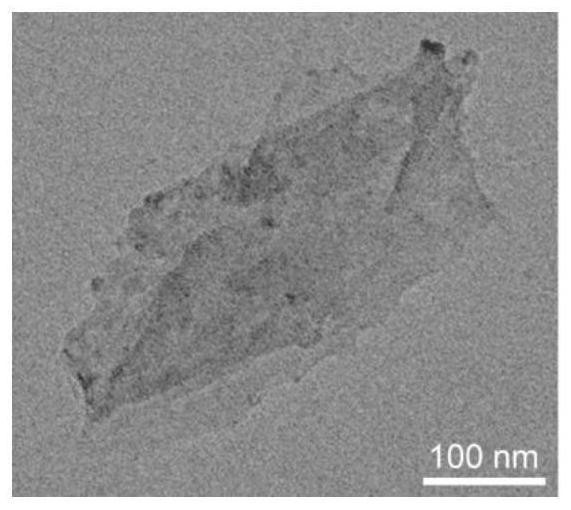 Optimized electron configuration co for efficient oxygen evolution reaction  <sub>4</sub> Preparation method of n nanosheets