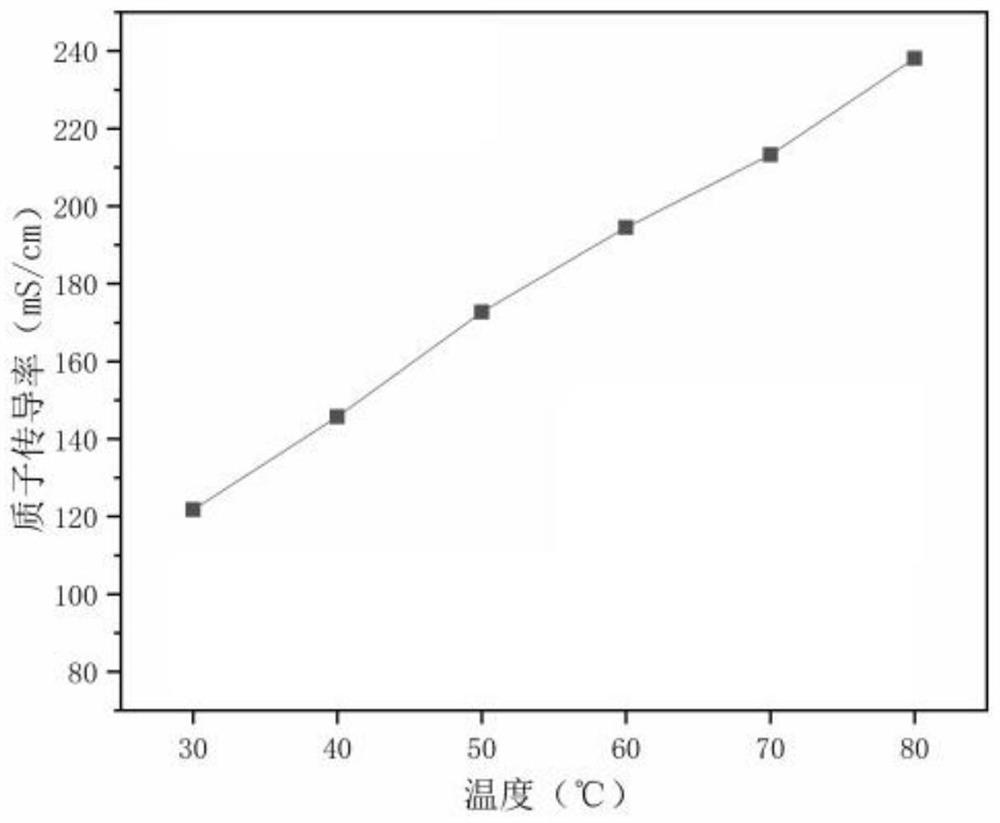 Application of sulfonated polyaryletherketone as binder in membrane electrode of proton exchange membrane fuel cell, membrane electrode and preparation method