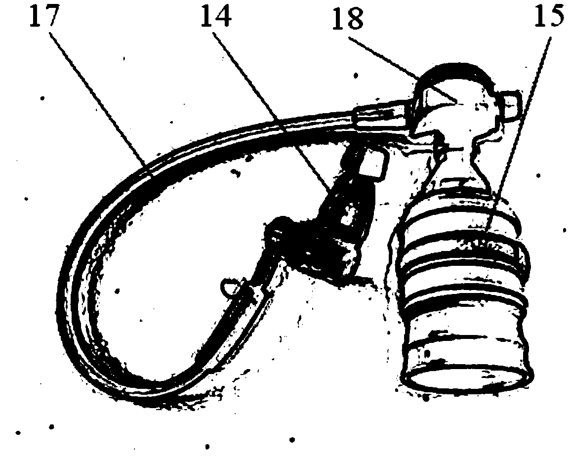 Underwater breathing support system for Bama miniature pigs