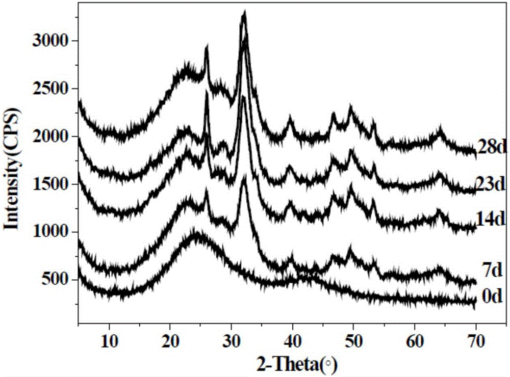 Regenerative medical material and preparation method and application thereof