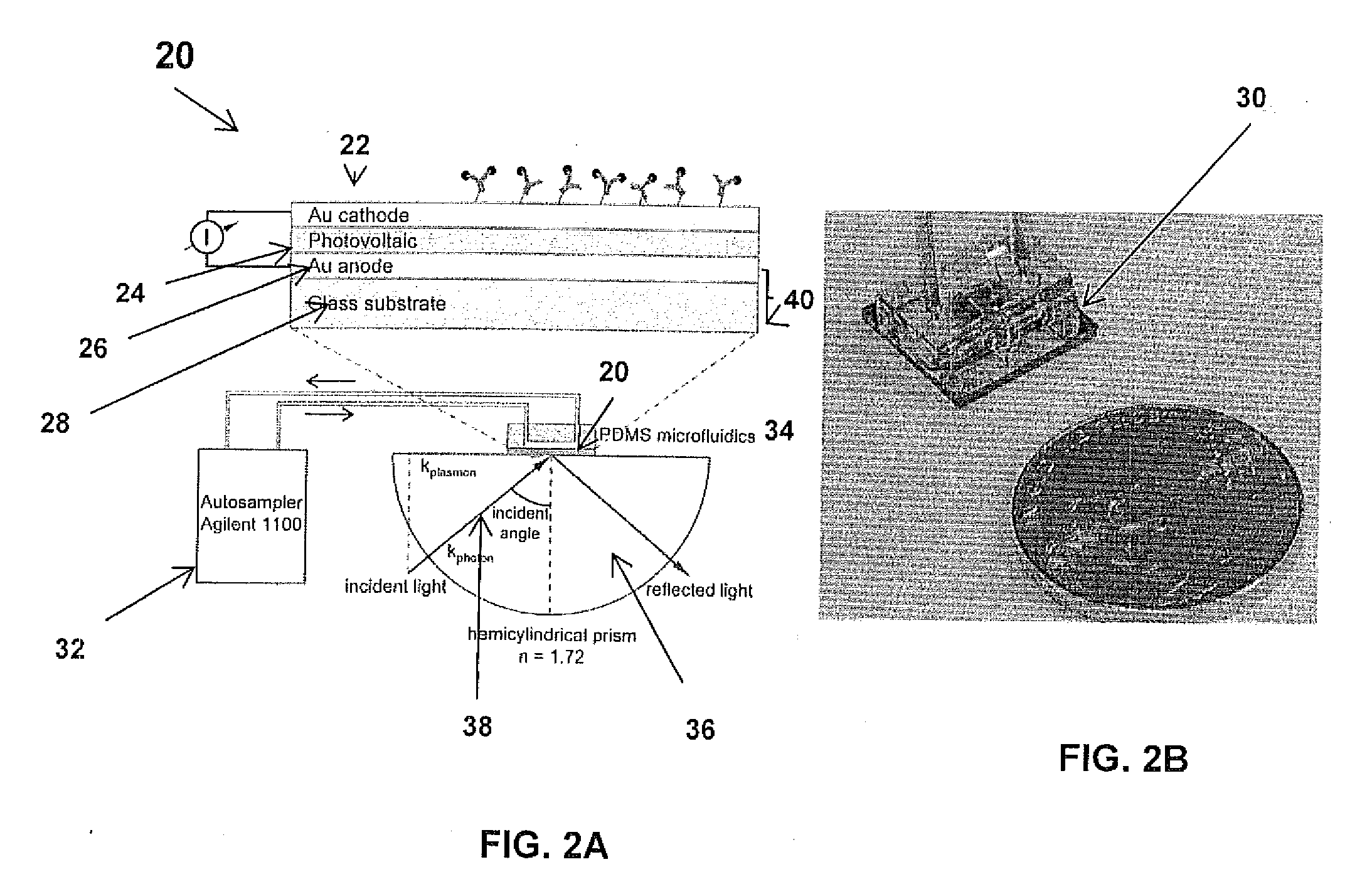 Near field detector for integrated surface plasmon resonance biosensor applications