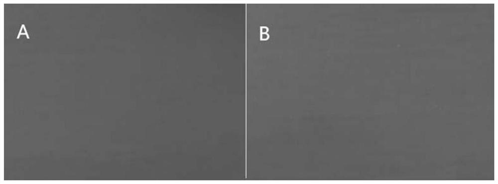 Preparation method of rural experience type light-storing luminescent material