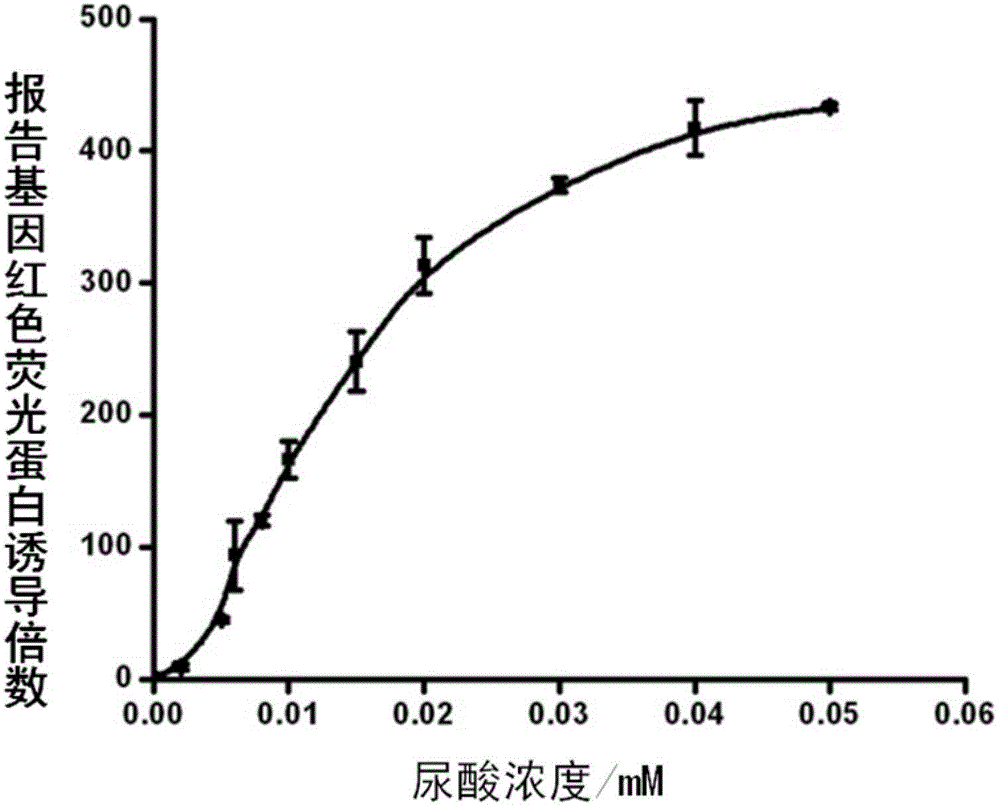 A dna fragment for uric acid-induced expression of target protein, related promoter and application