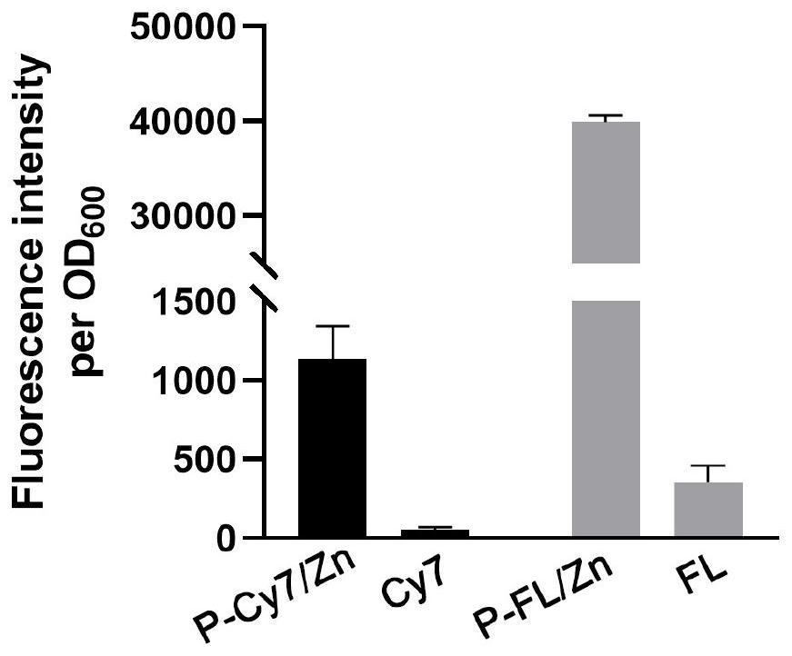 A kind of fluorescein conjugate and its synthesis method and application