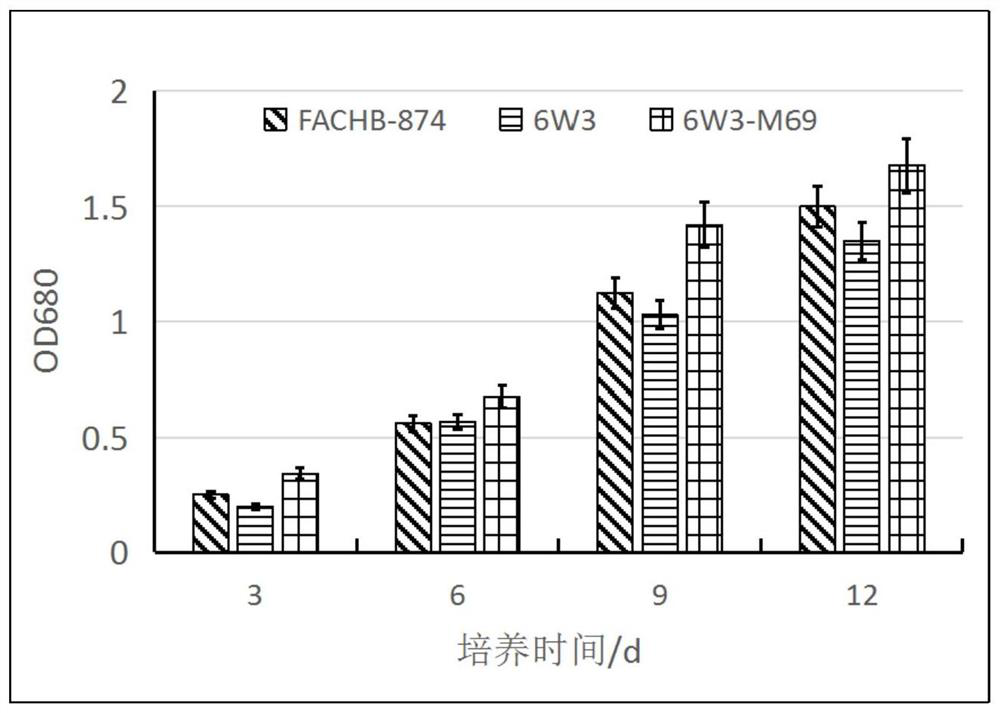 Screening method of haematococcus pluvialis mutant with high yield of astaxanthin