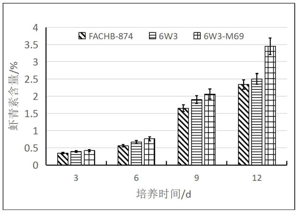 Screening method of haematococcus pluvialis mutant with high yield of astaxanthin