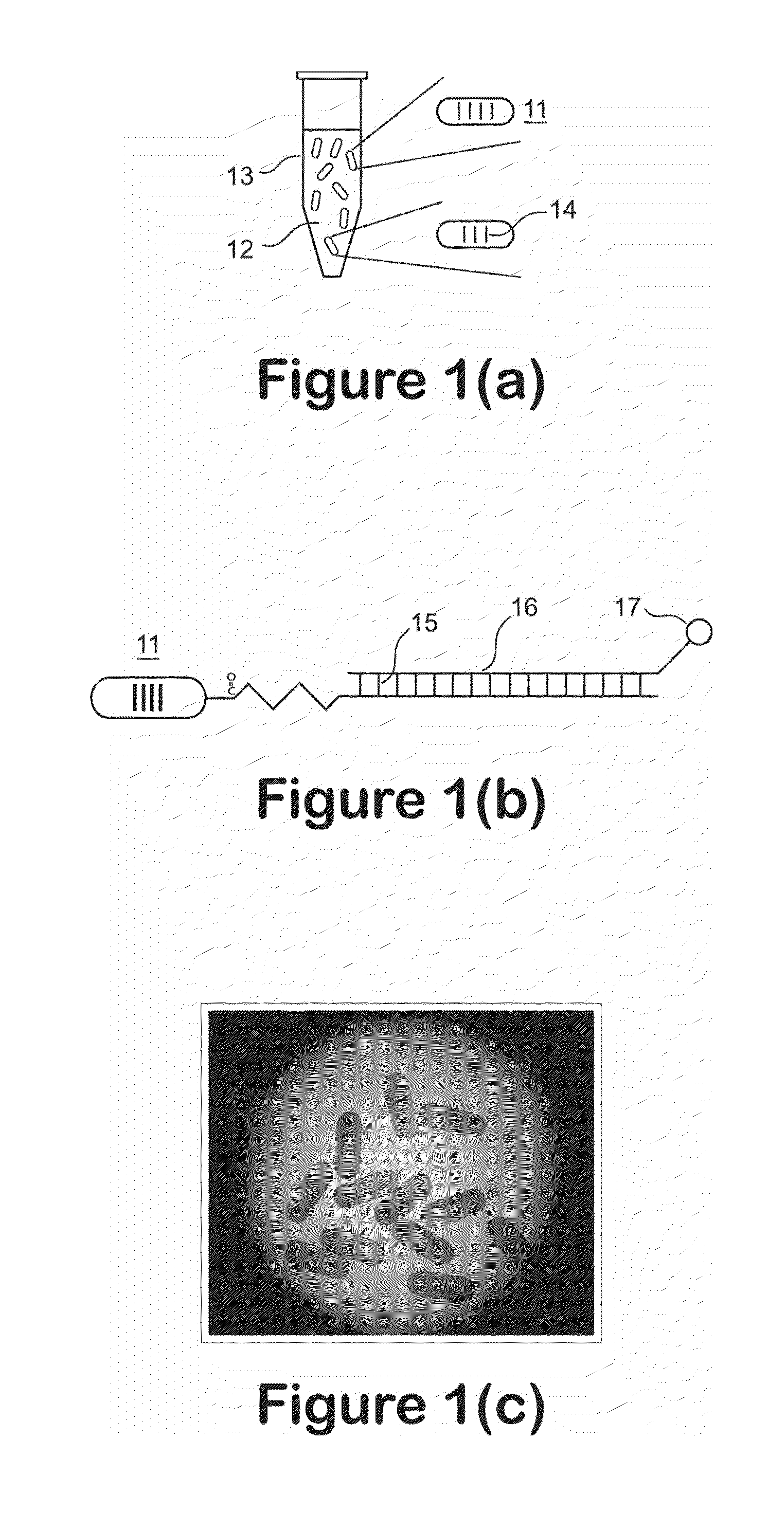 Biocompatible and photocurable polymers