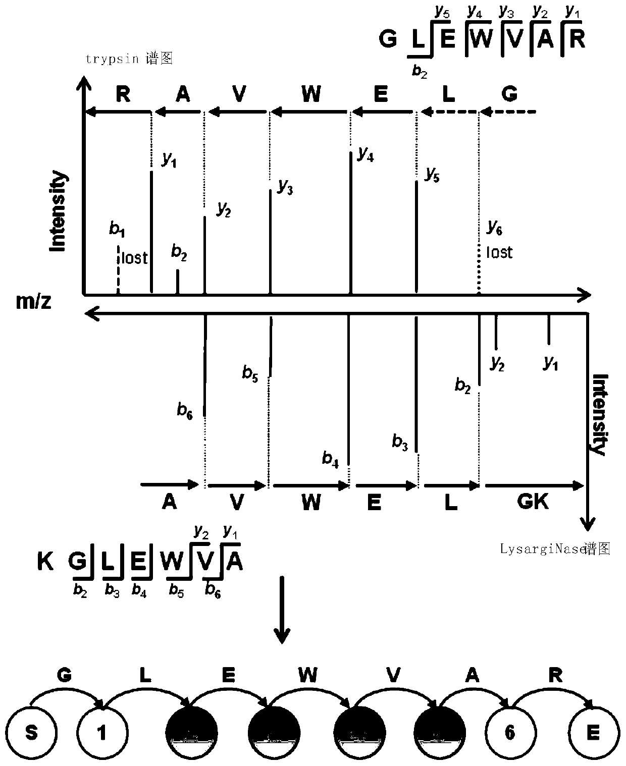 A de novo sequencing method