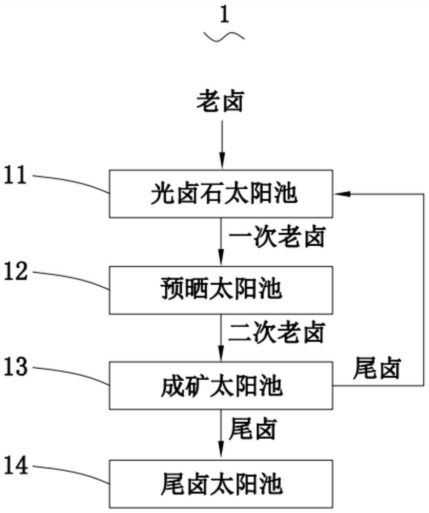 A system and method for drying carnallite