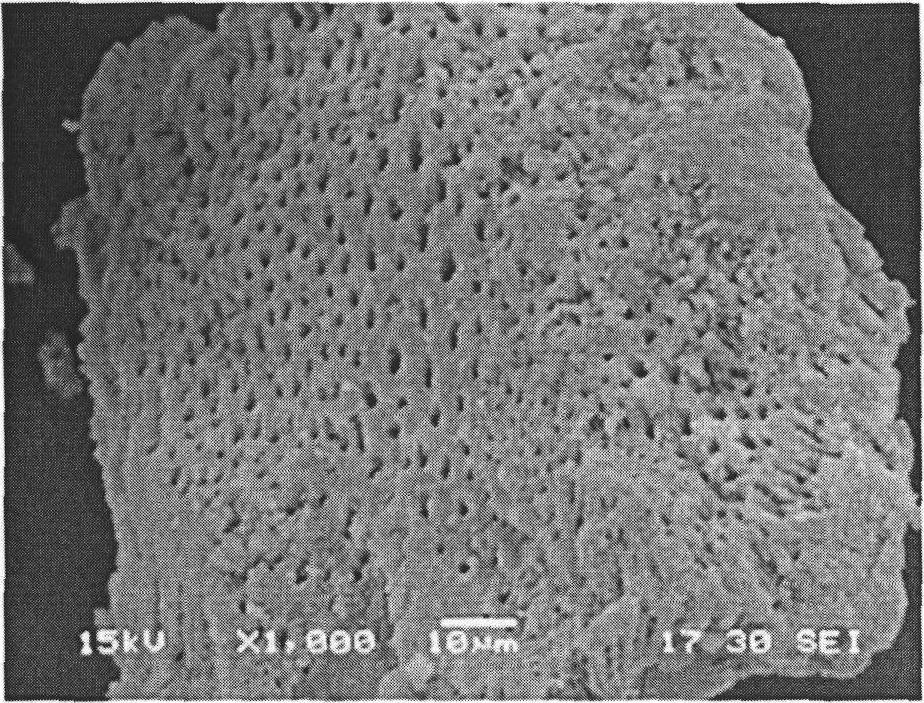 Ordered double porosity Al203-TiO2 and preparation method thereof and application thereof