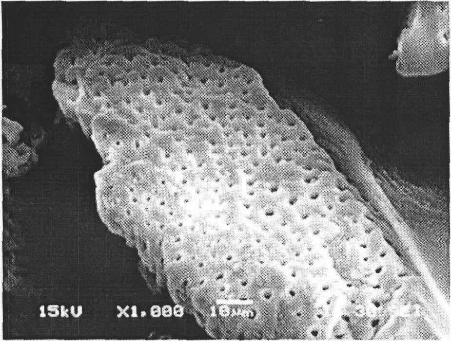 Ordered double porosity Al203-TiO2 and preparation method thereof and application thereof