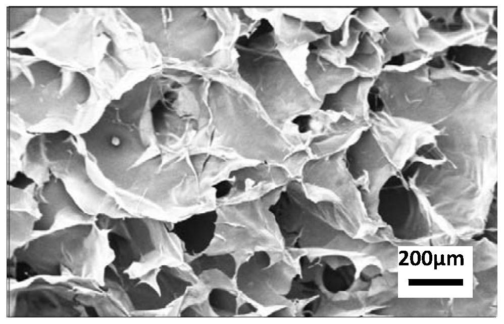 A corn stalk/chitin composite hemostatic sponge and its preparation method and application