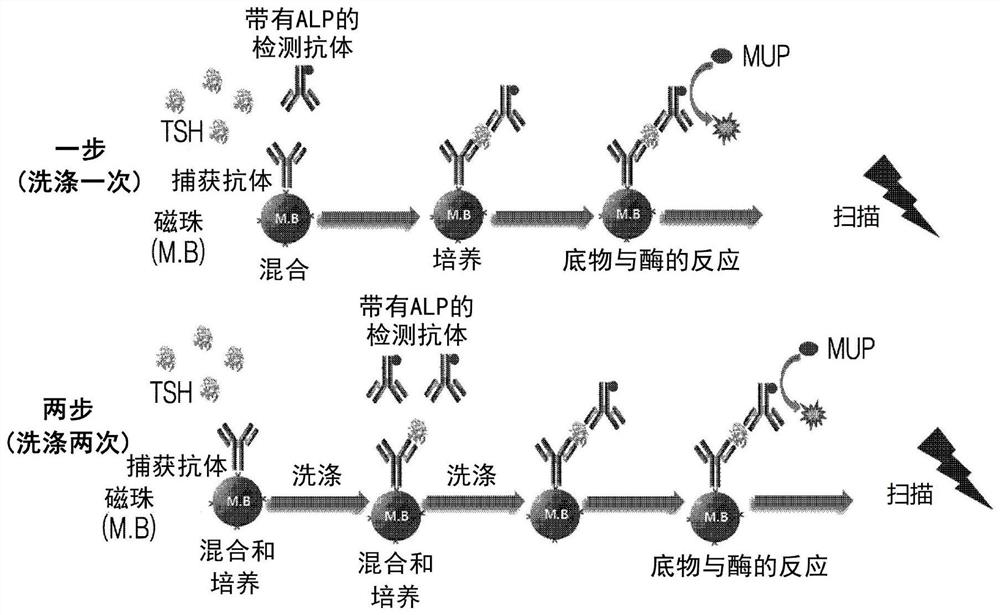 Analysis device for automated liquid phase immunoreaction analysis and immunoreaction analysis method using same