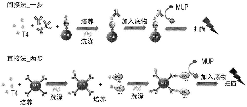 Analysis device for automated liquid phase immunoreaction analysis and immunoreaction analysis method using same