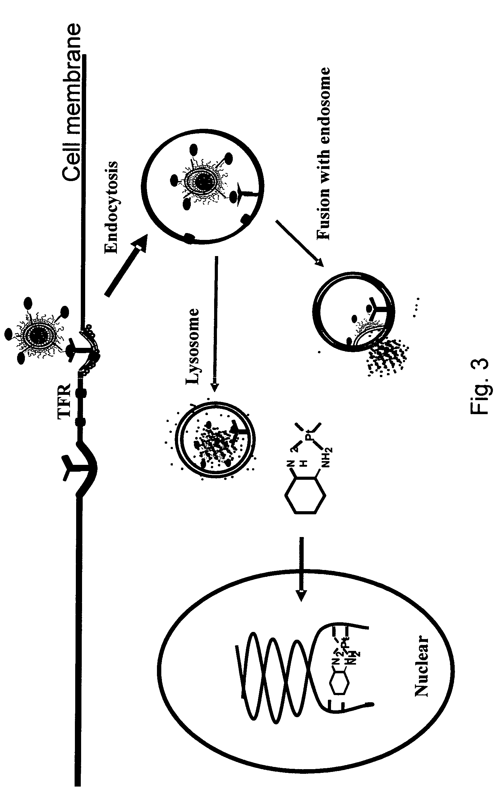 Novel liposome compositions