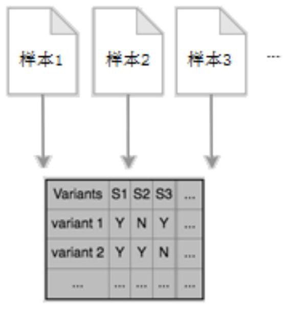 Genetic sample analysis method and electronic equipment