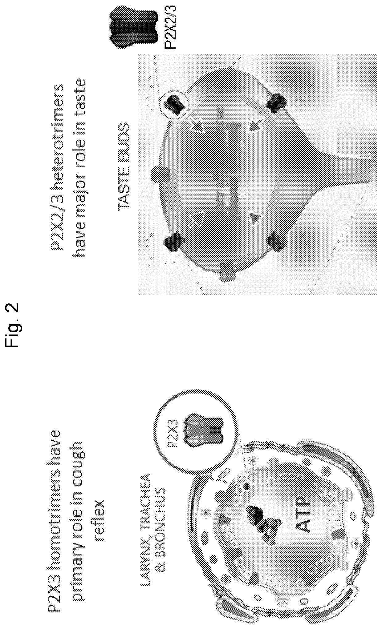 Selective p2x3 modulators