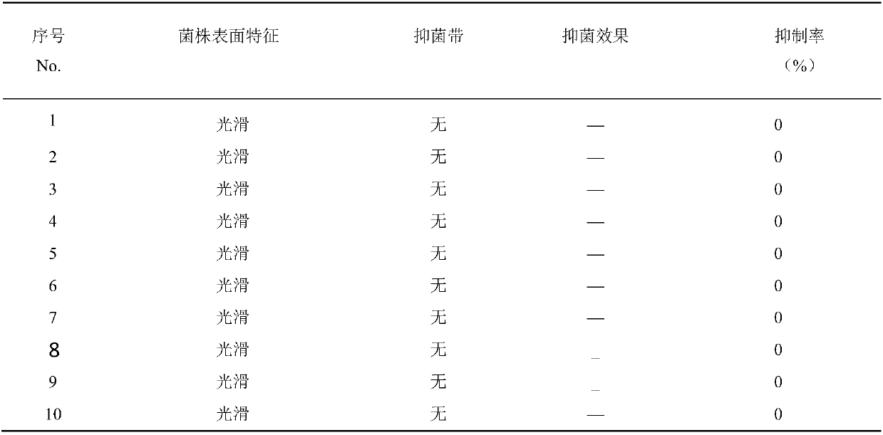 Methyl nutritional type bacillus B18, and microbial inoculum and application thereof