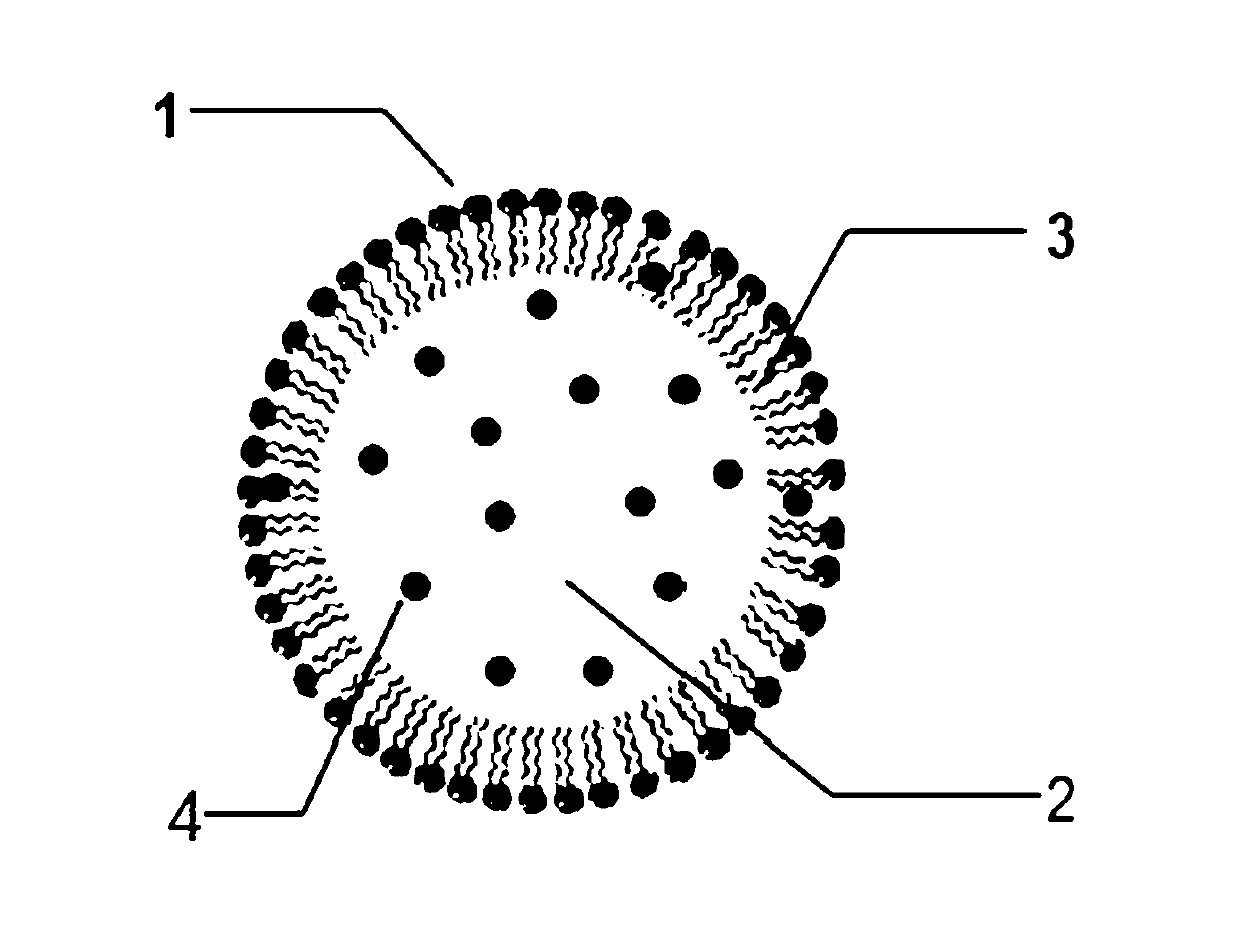 Norcantharidin derivative lipid microsphere injection and preparation method thereof