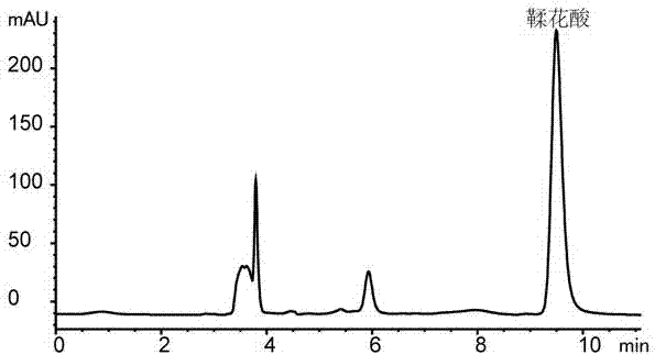 Method for preparing ellagic acid concentrate by using branches and leaves of rubus corchorifolius