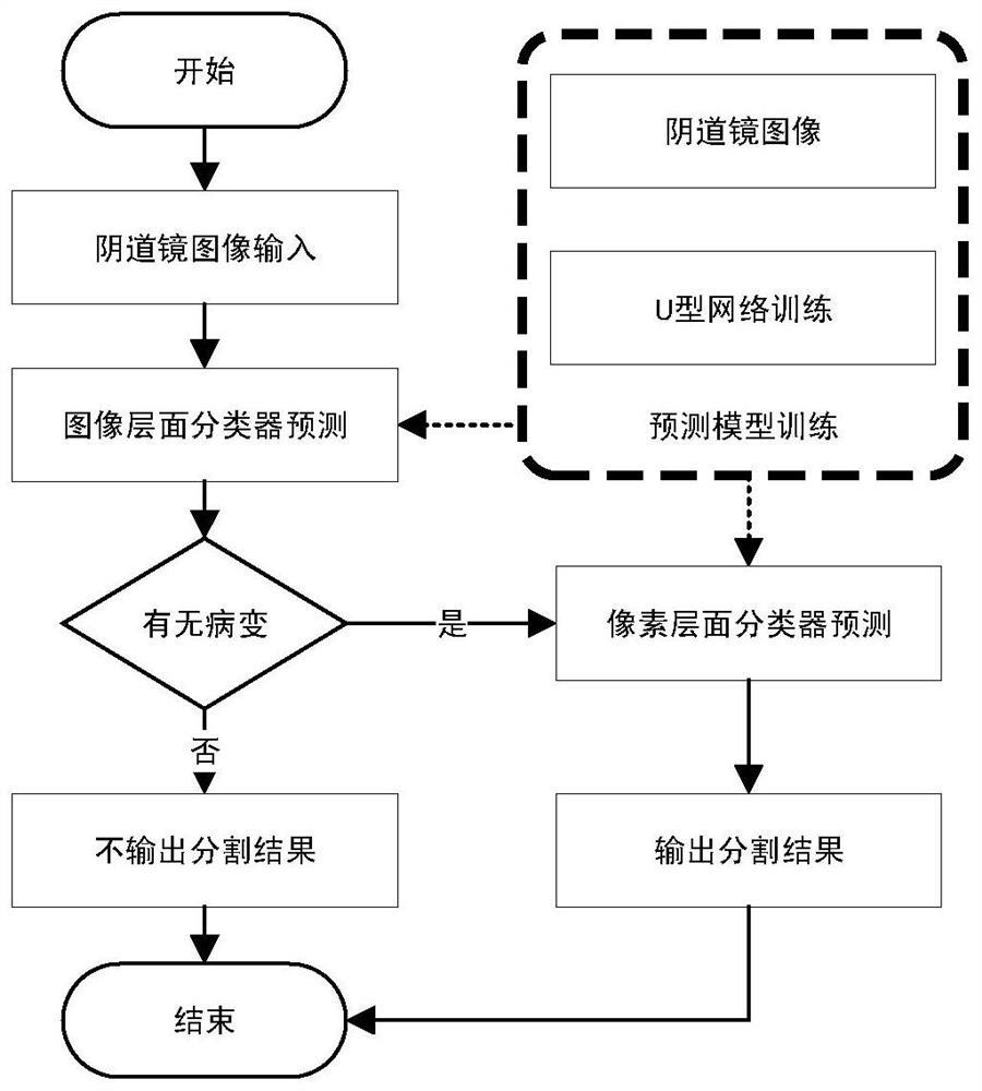 A device and method for segmenting cervical image lesion regions based on classification prior