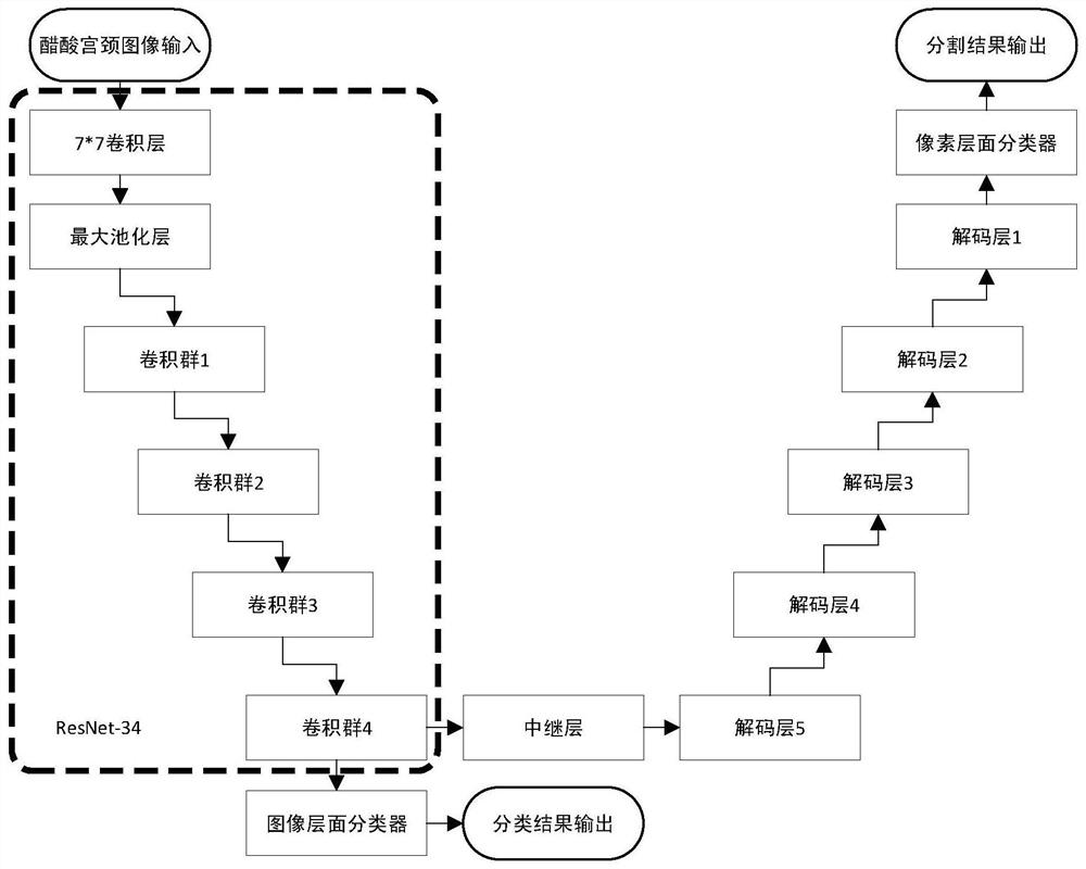 A device and method for segmenting cervical image lesion regions based on classification prior