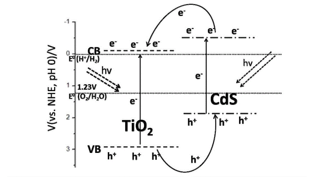 Cadmium sulfide (CdS) quantum dot sensitized branching titanium dioxide (TiO2) nanorod array electrode and preparation method and usage thereof