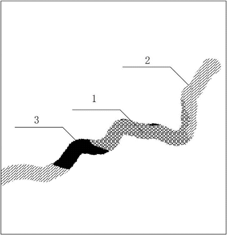 Surface soil and turf coordinating protection method based on combination of remote sensing partitioning and field investigation