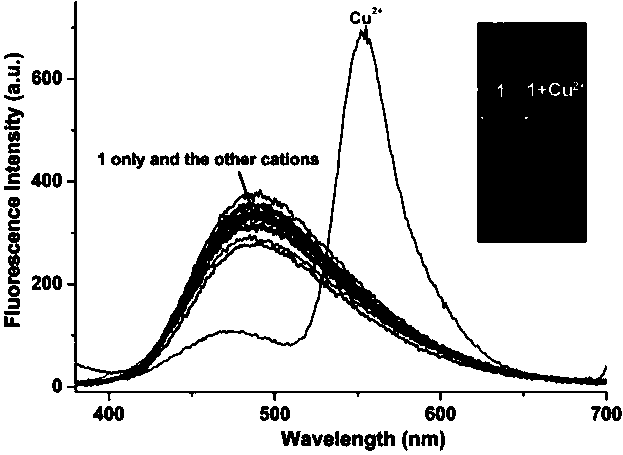 A kind of pyrrole-rhodamine acylhydrazone derivative and its preparation method and application