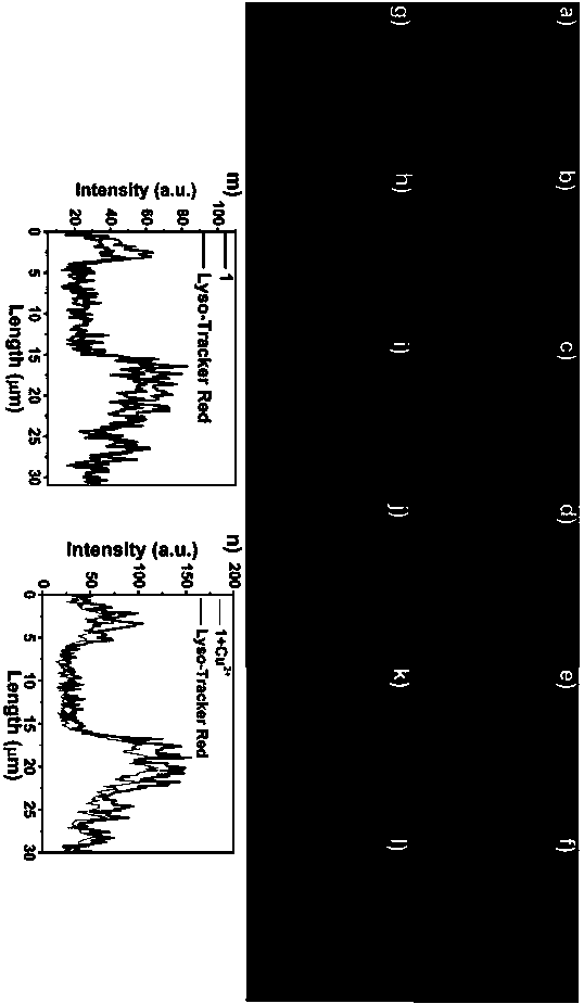 A kind of pyrrole-rhodamine acylhydrazone derivative and its preparation method and application