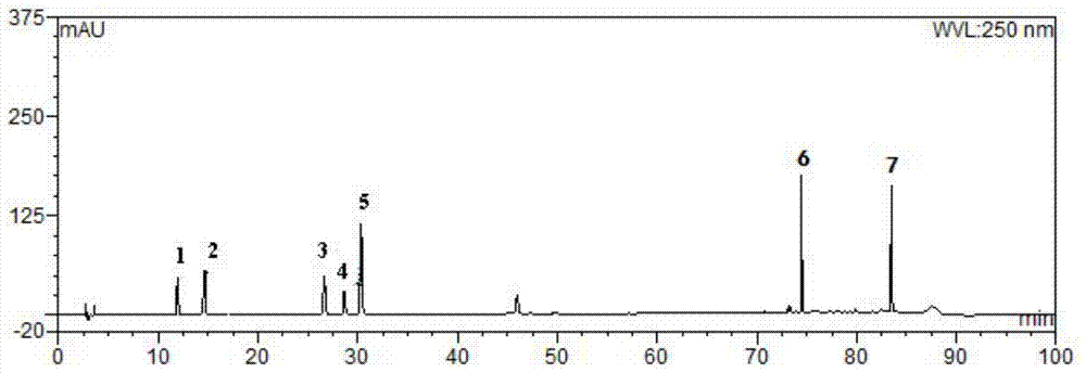 Quality control method for capsules with functions of dispelling wind and removing toxicity