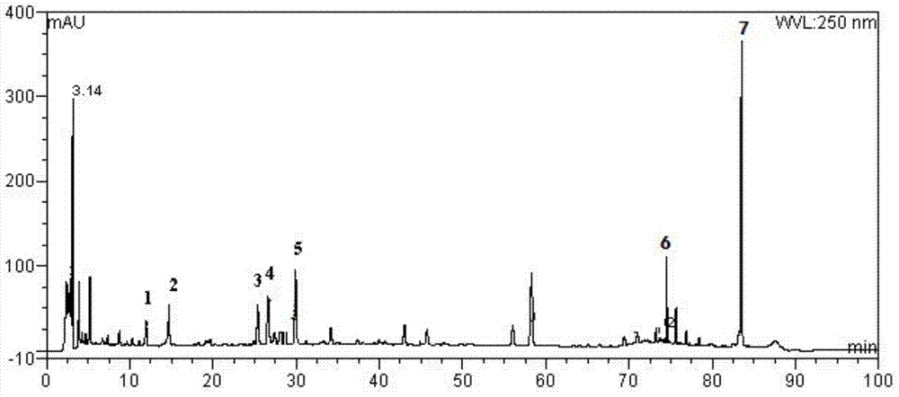 Quality control method for capsules with functions of dispelling wind and removing toxicity