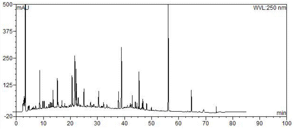 Quality control method for capsules with functions of dispelling wind and removing toxicity