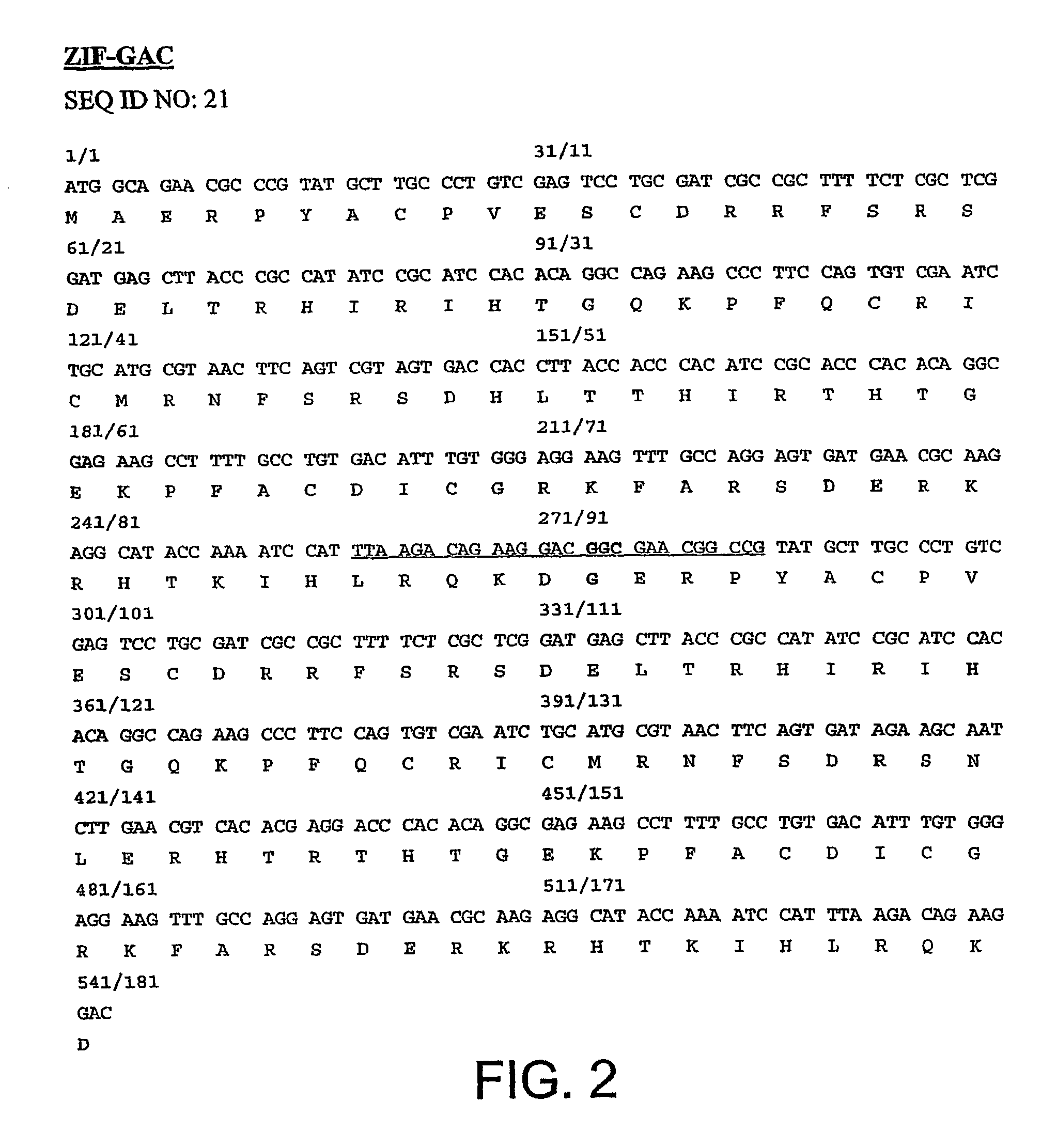 Methods and compositions for linking binding domains in nucleic acid binding proteins