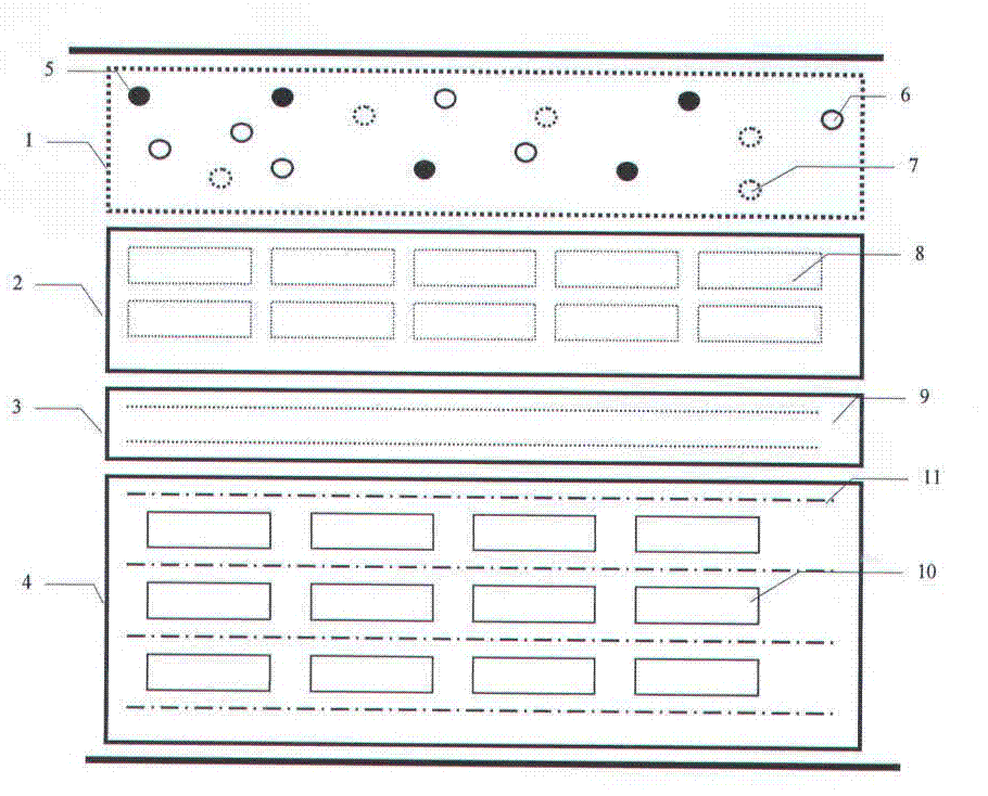 Method for construction of water-saving biological protection system on periphery of oasis under flood irrigation condition