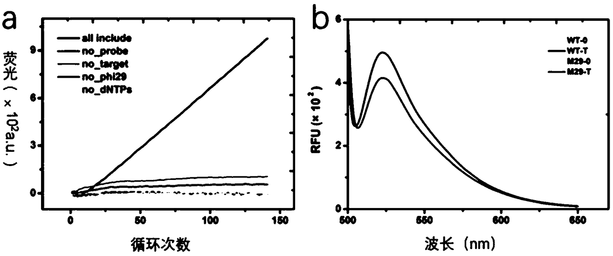 Method for designing high-sensitivity and high-specificity mismatch nucleic acid sequences