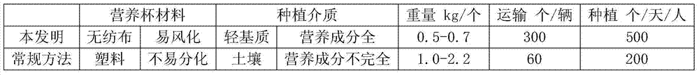 Method for improving planting survival rate of pinus massoniana grafting seedlings