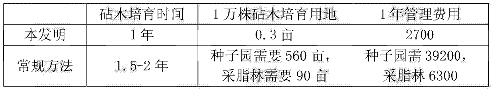 Method for improving planting survival rate of pinus massoniana grafting seedlings