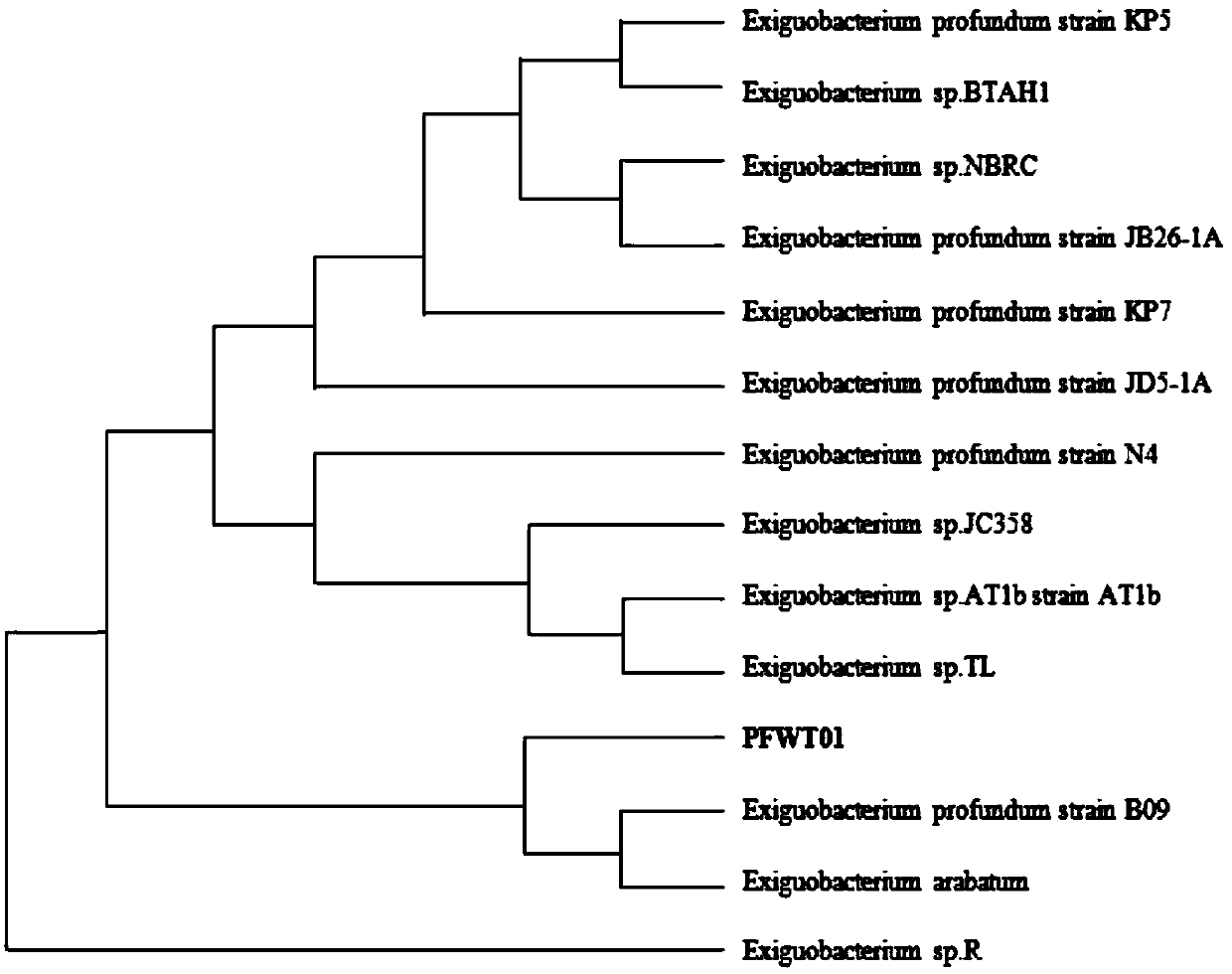 Deep-sea microbacterium with tolerance to vanadium and use thereof