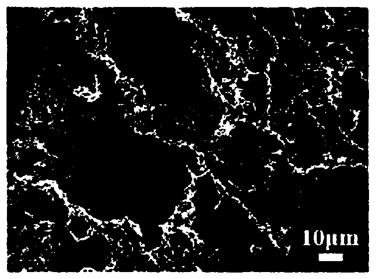 Soft and hard tissue integrated regeneration-repair gradient three-dimensional fibrous scaffold and preparation method thereof