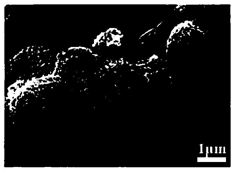 Soft and hard tissue integrated regeneration-repair gradient three-dimensional fibrous scaffold and preparation method thereof