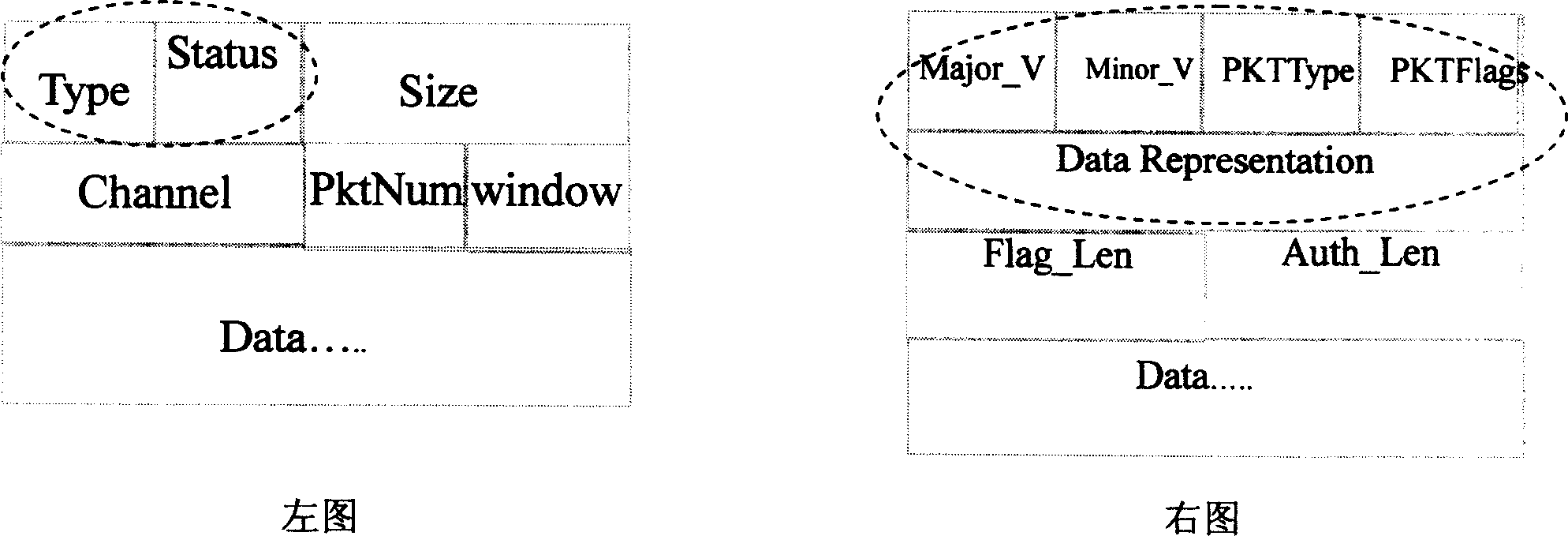 Automatic protocol recognition method and system